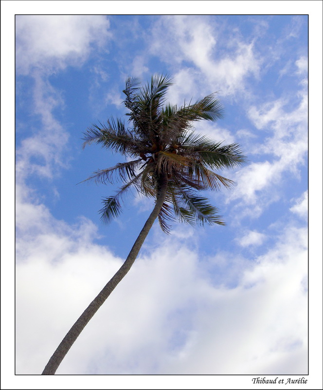 2009 - 08 - Moorea 44